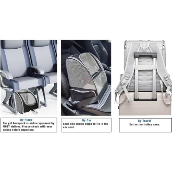 Innovative Traveler Bubble Backpack Pet Carriers for Cats and Dogs (Black) - Picture 3 of 7